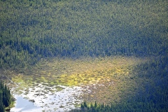 © P_Lahoud_0125_web